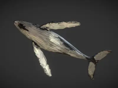 Whale Low Polygon Art Animal Low-poly 3D model