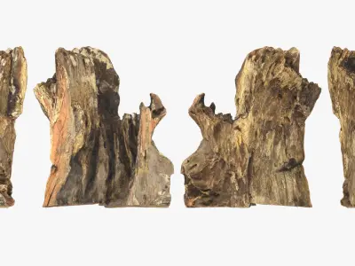Tree Trunk Piece 16 3D model