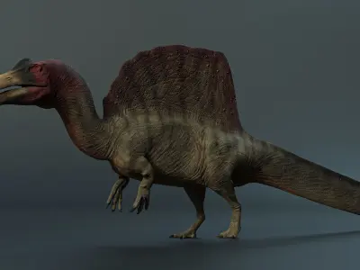 Spinosaurus dinosaur Low-poly 3D model