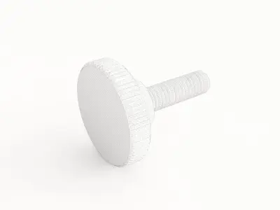 Screw 27 3D model