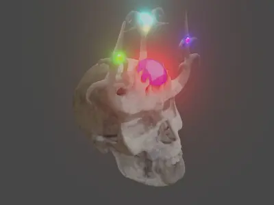 skull king with skeleton design and pebble and grass Free 3D model