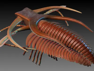 Marrella splendens 3D model