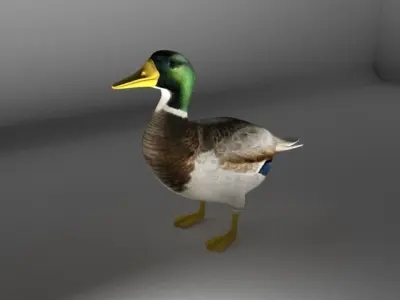 The Duck Low-poly 3D model