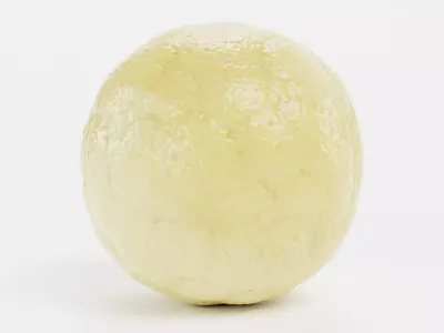 -Old World Swallowtail Egg- 3D model