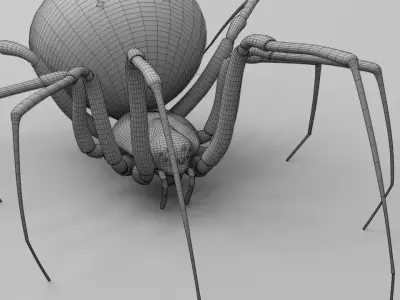 Black widow spider  v2 3D model