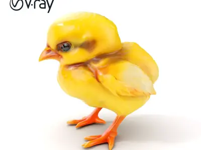 Realistic Baby Chick D Model Pack for Animations and Games Low-poly 3D model