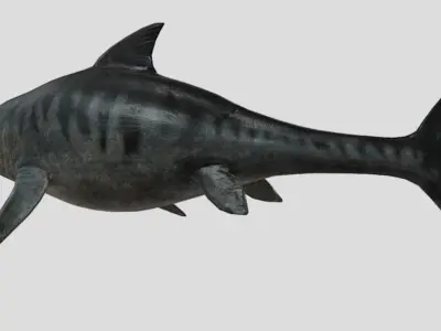 Ophthalmosaurus Realistic Animated Low-poly 3D model