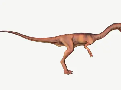 Coelophysis dinosaur Low-poly 3D model