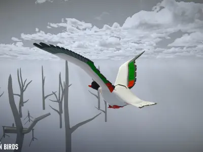 Cartoon birds - big animation pack 3D model