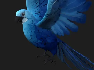 Parrot A4 3D model