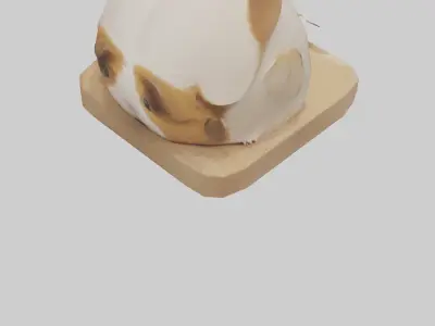 Guinea Pig hiding model Low-poly 3D model