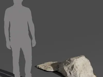  Large &amp; Flat Beach Rock Cluster Model 