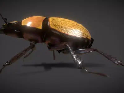 scarab beetle Low-poly 3D model