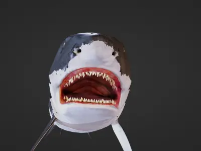 Shark Great-white shark 3D model