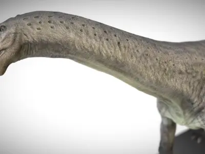 Apatosaurus The Thunderous Giant of the Jurassic Low-poly 3D model