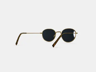 Rafael Sunglasses in Polished Gold 3D model