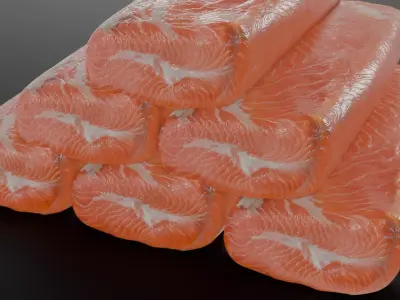 Salmon Steak 3D model