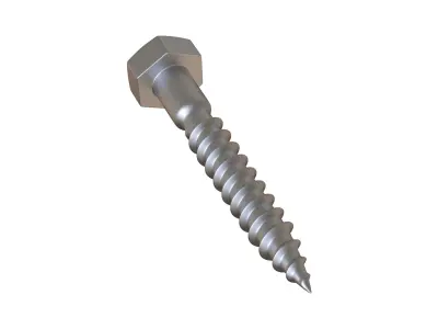 lag Bolts 3D Model 3D model