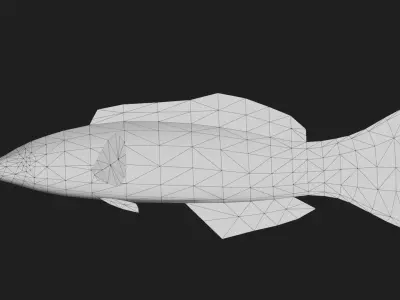 Wrasse Low-poly 3D model