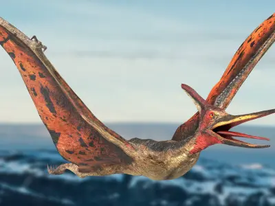 Pteranodon Rigged Animated 3D model Low-poly 3D model