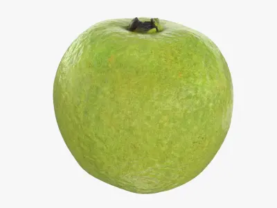 Whole Pink Guava 3D model