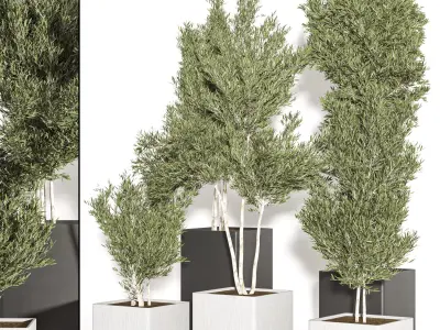 indoor plant vol 28 3D model