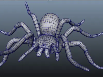 Goliath Bird Eating Spider - Owen Moloney Low-poly 3D model