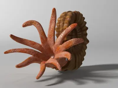 Ammonite with complete underwater scene Low-poly 3D model