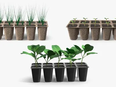 Seedling Collection 3D model