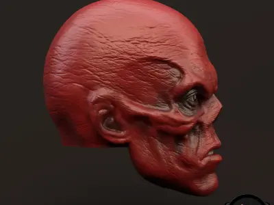 RedSkull Johann Shmidt 3D printable for action figures 3D print model