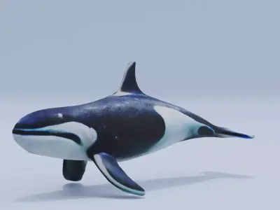 Orca Fish White Shark Low High Poly Low-poly 3D model