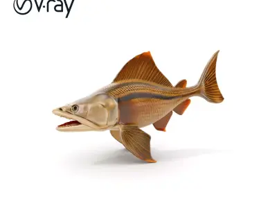 Prehistoric Fish D Model Pack with PBR Textures Low-poly 3D model