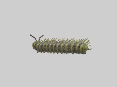 Monarch Caterpillar Low-poly 3D model