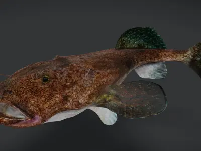 Goosefish - Anglerfish - Ocean Horror Monster - Animated 3D model