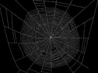 Spiderweb 1 3D model