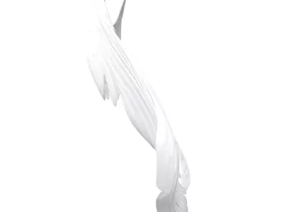 Dark Angel Wings  3D model purchase