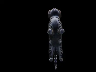 Low-poly cat Low-poly 3D model