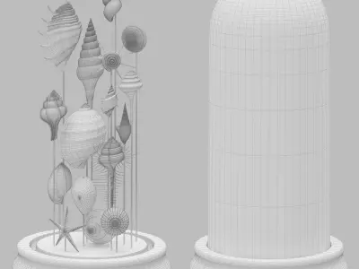 Seashell Decorative 3D model
