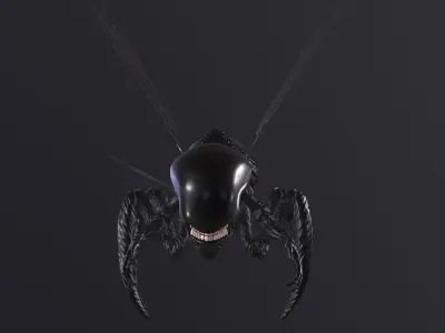Bug 2 alien creature Low-poly 3D model