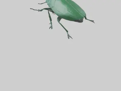Beetle on leaf model Low-poly 3D model