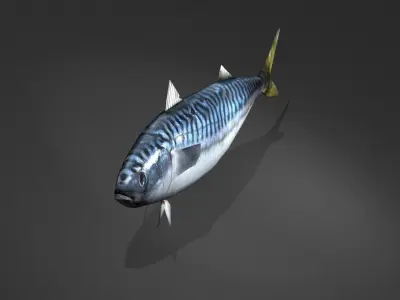 Mackerel Fish Low-poly 3D model