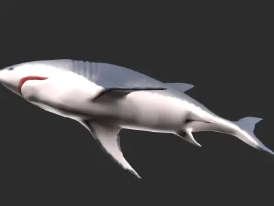 Shark Low-poly 3D model