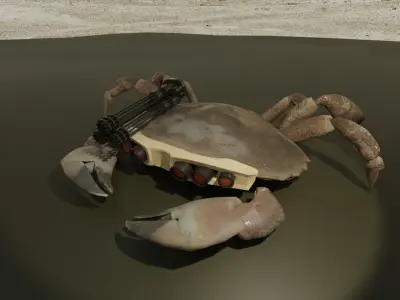 Cyber Crab 3D model