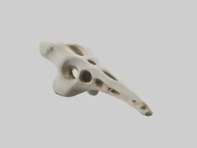 Giraffe Vertebrae Low-poly 3D model
