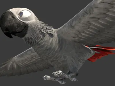 Gray parrot Low-poly 3D model