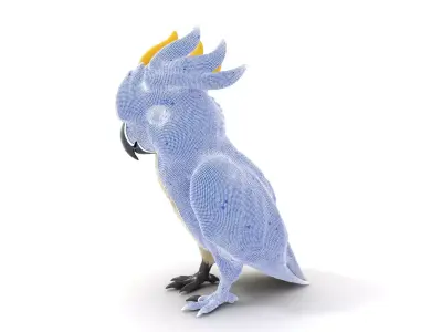 Majestic White Cockatoo model pack Low-poly 3D model