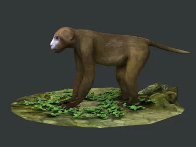 macaque monkey ape chimp africa savannah mammal 3D model