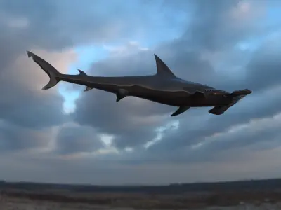 Realistic Hammerhead Shark 3D Model - High Poly and Low Poly  Low-poly 3D model