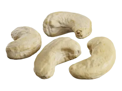  Raw Cashew Nuts Model 