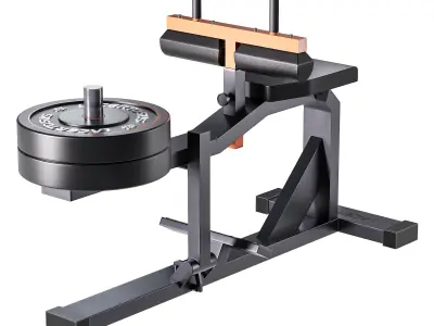 Seated Calf Machine Plate Loaded 3D model